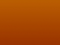 Презентация по окружающему миру на тему  Животный мир зона лесов 4 класс