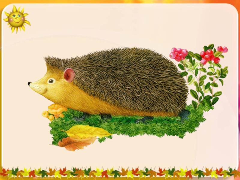 Изложение еж. Диктант еж. Ежик с языком. Ежик русский язык. Сочинение про ежа.