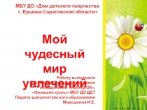 Мир моих увлечений