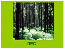 Презентация к уроку по русскому языку во 2 классе по теме Связь имени прилагательного с именем существительным. Тестирование по теме имя прилагательное