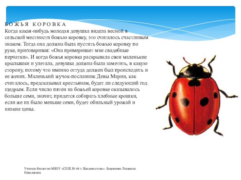 Легенда о животных. Легенды о животных 2 класс окружающий мир. Легенды о животных короткие для 2 класса.