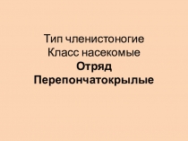 Презентация по биологии на тему