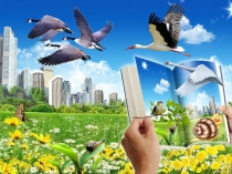 Презентация к уроку Учит природа