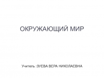 Презентация по окружающему миру на тему Байкал