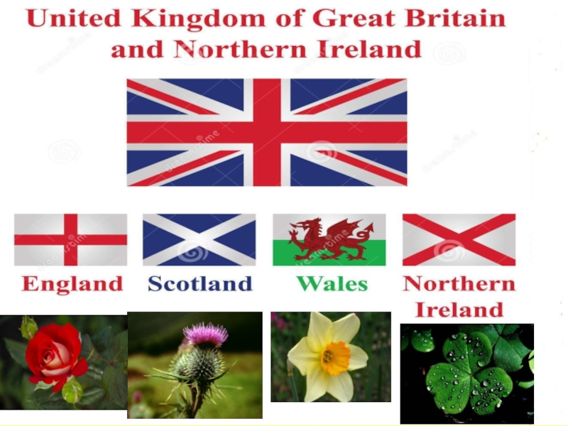 Symbols of the united kingdom