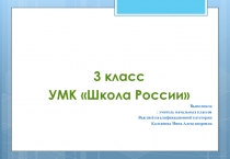Презентация к уроку по русскому языку на тему Число имён прилагательных