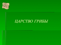 Презентация по биологии на тему Шляпочные грибы (5 класс)