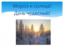 Презентация по теме Повторение пройденного материала. Лексика