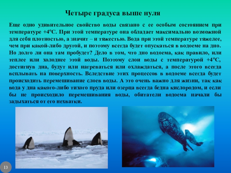 4 градуса. Удивительные свойства воды физика 7 класс. Легенды, связанные с водой. Четыре градуса выше нуля воды. Вода при температуре 4 градуса.