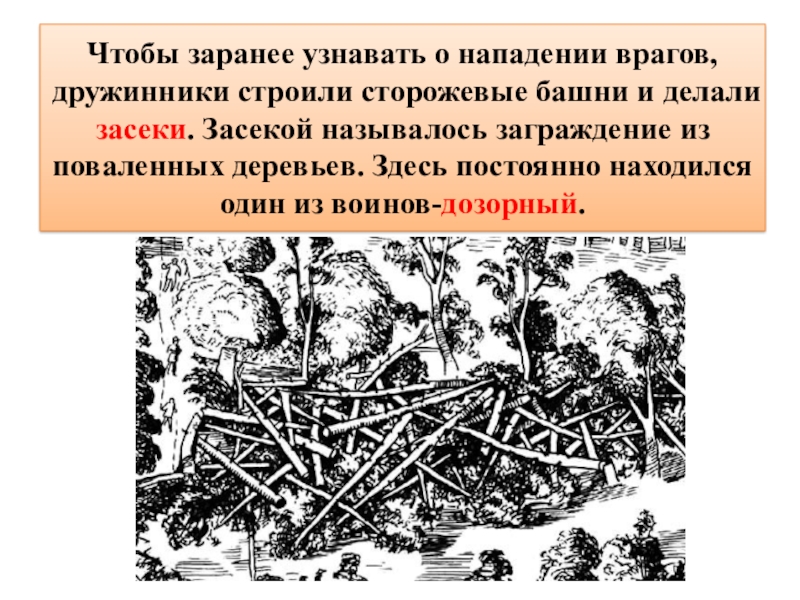 Засеки 1 время. Засека это в истории. Засека это в древней Руси. Засека заграждение. Засеки и завалы.