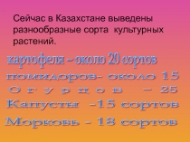 Презентация по дисциплине Овощеводство