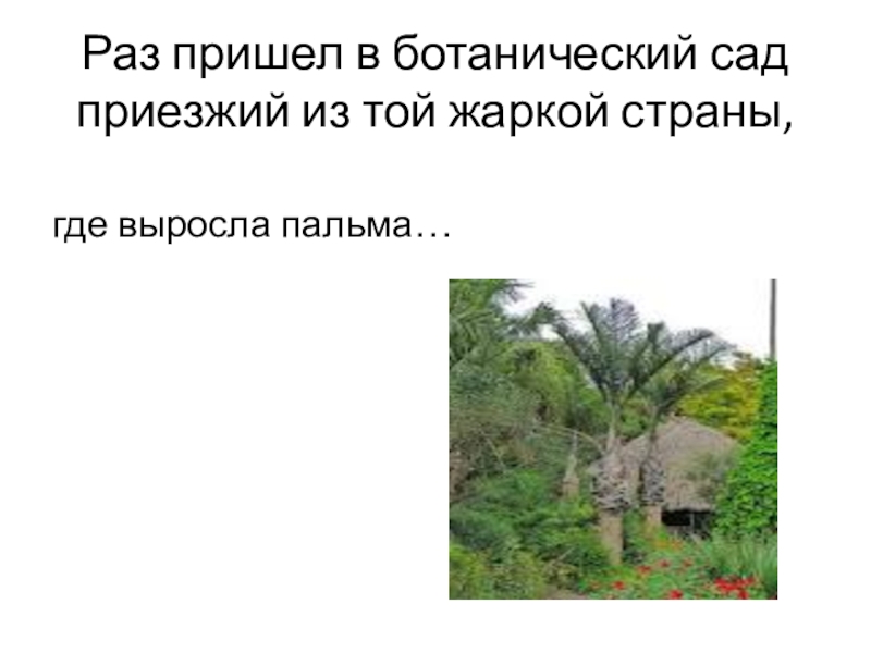 Гаршин аталия принцепс урок в 5 классе презентация