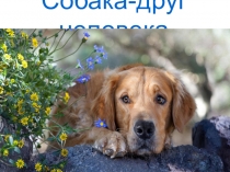 Презентация к воспитательному занятию  Собака- друг человека.