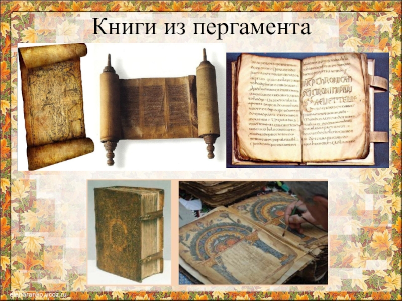 Древние книги из пергамента картинки