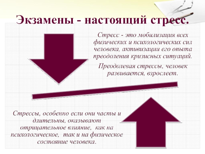 Экзамены - настоящий стресс.