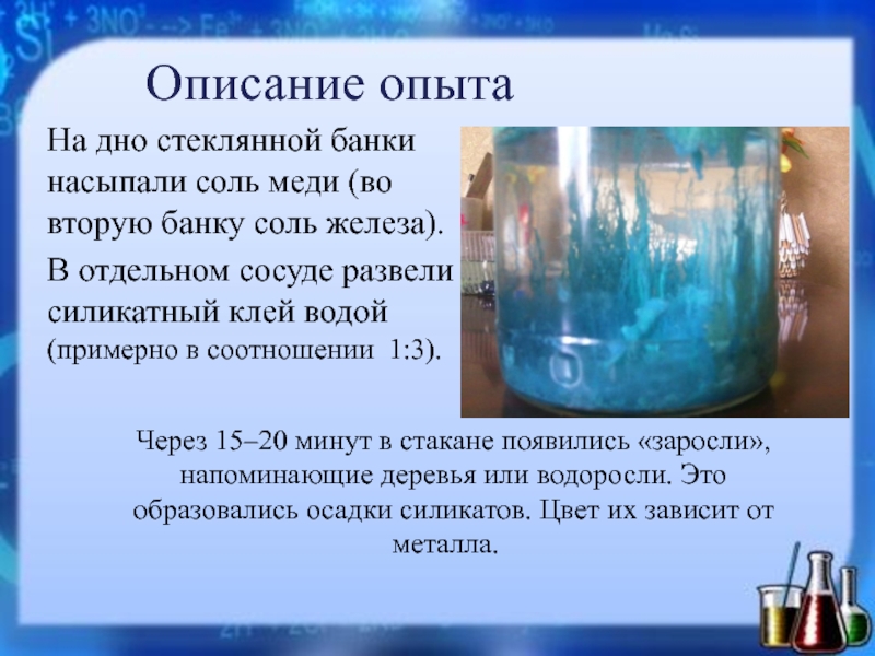 Описание опытаНа дно стеклянной банки насыпали соль меди (во вторую банку соль железа).В отдельном сосуде развели силикатный