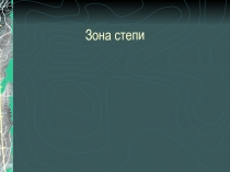 Презентация урока Зона степи