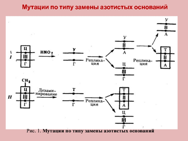 Типа замена. Мутации по типу замены азотистых оснований. Замена азотистого основания мутация. Тип мутации замена основания. Замена оснований ДНК Тип мутации.