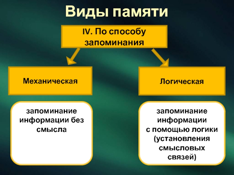 Виды памяти презентация 8 класс