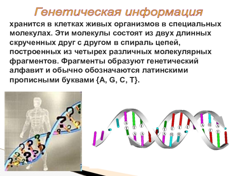 Наследственная информация ген. Генетическая информация. Генетика информация. Что такое наследственная информация в информатике. Генетическая информация информация.