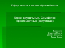 Презентация по биологии на тему Семейство Крестоцветные (6 класс)
