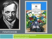 Андрей Платонович Платонов  Неизвестный цветок 6 класс