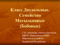 Презентация по биологии на тему Класс Двудольные. Семейство Мотыльковые
