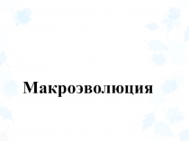 Презентация к уроку биологии 10 класс Макроэволюция