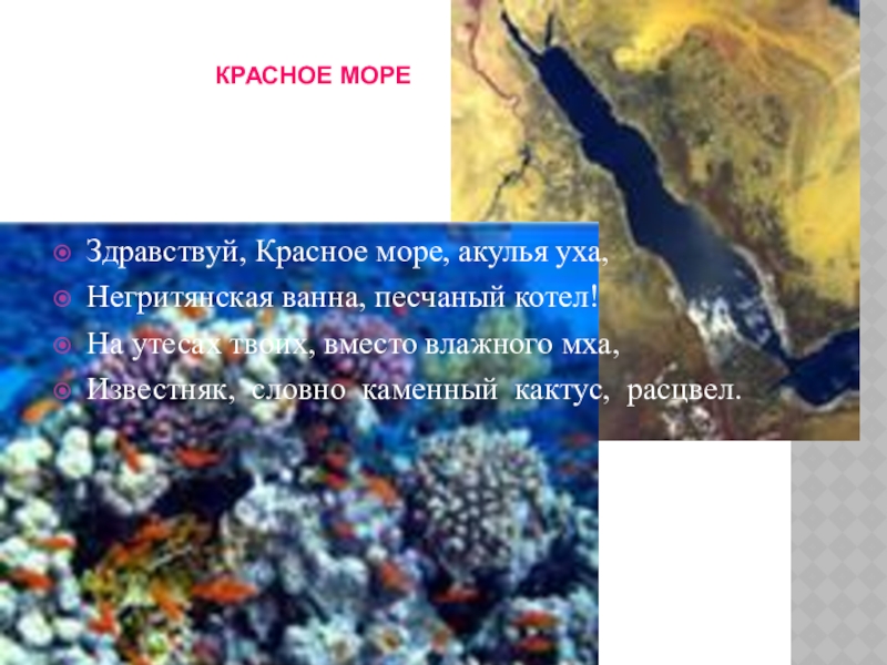 Описание красного моря по плану 6 класс география