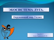 экосистема луга