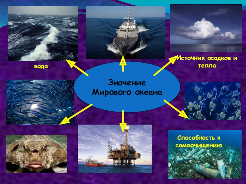 Схема жизнь в океане. Значение мирового океана. Этапы мирового океана. Мировой океан проект. Ресурсы мирового океана схема.