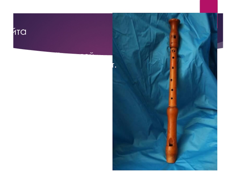 Флейтадеревянный духовой музыкальный инструмент. 
