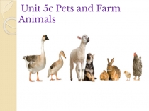 Презентация Pets and farm animals, Spotlight 5