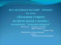 Презентация по окружающему миру  Большая стирка