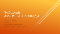 Презентация для педагогов дополнительного образования реализующих программу АБВГДейка по предмету математика: Площадь. Измерение площади