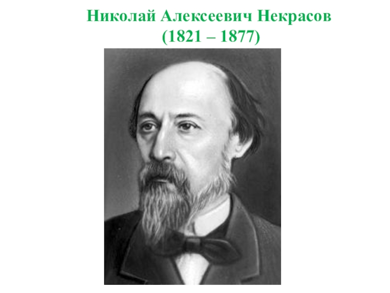 Николай алексеевич некрасов рисунок