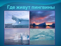 Презентация по художественной деятельности Где живут пингвины