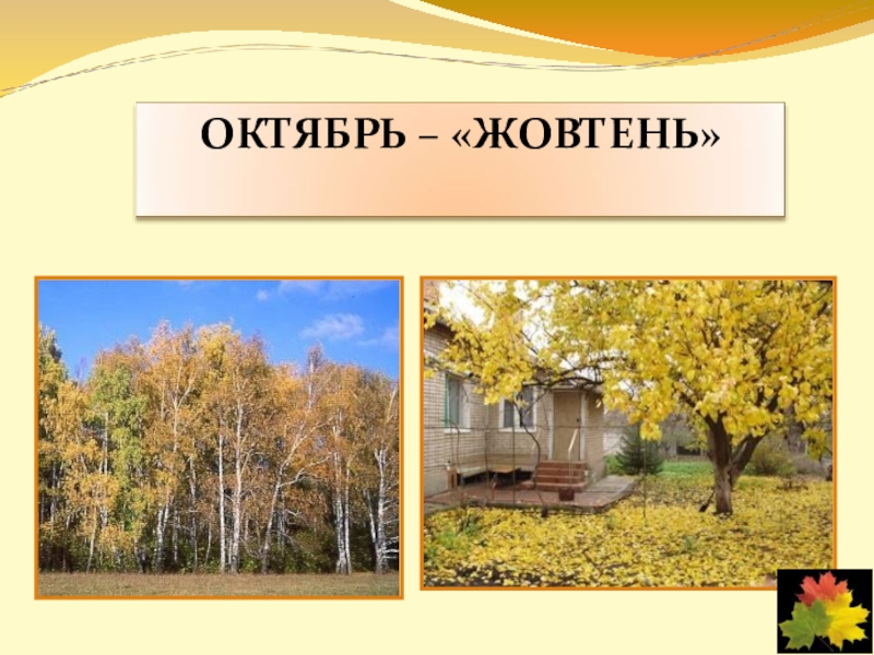 Изменения в неживой природе осенью. Признаки осени в неживой природе. Изменения в природе осенью 4 класс. Изменения в природе осенью 1 класс. Неживая природа в октябре.