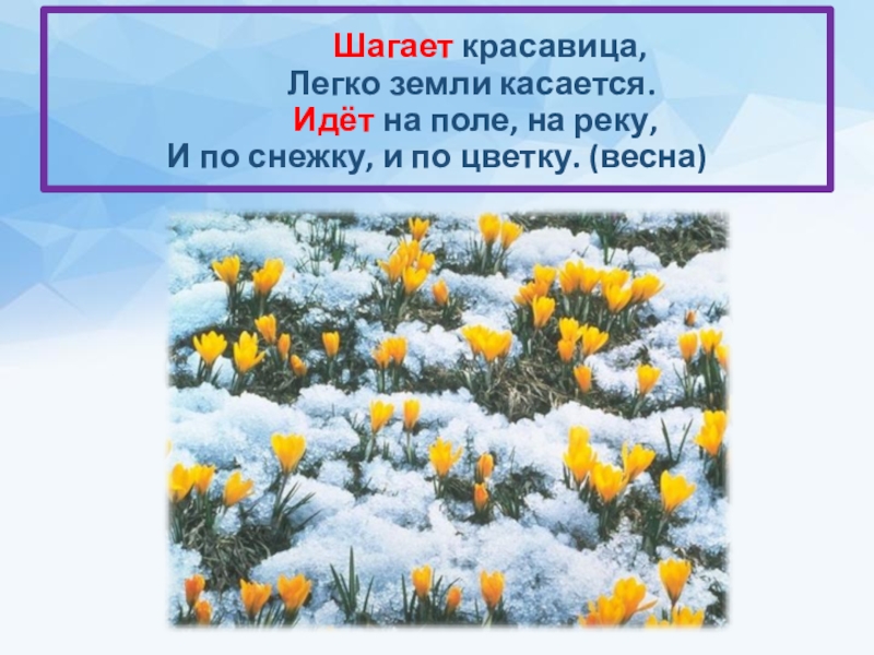 Шагает красавица легко земли касается. Загадка шагает красавица легко. Загадка шагает красавица легко земли. Загадки про весну. Шагает красавится.