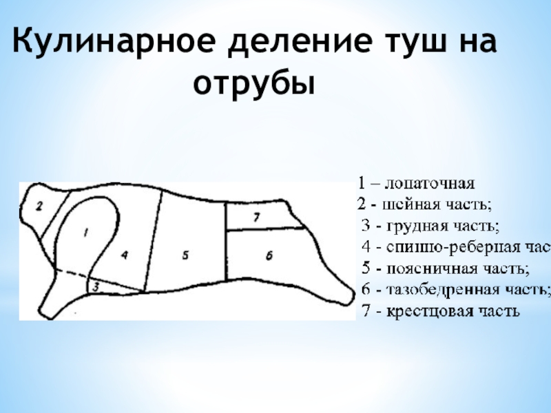 Что такое отруб в истории