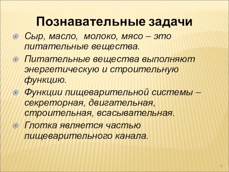 Органелла переваривающая питательные вещества на рисунке