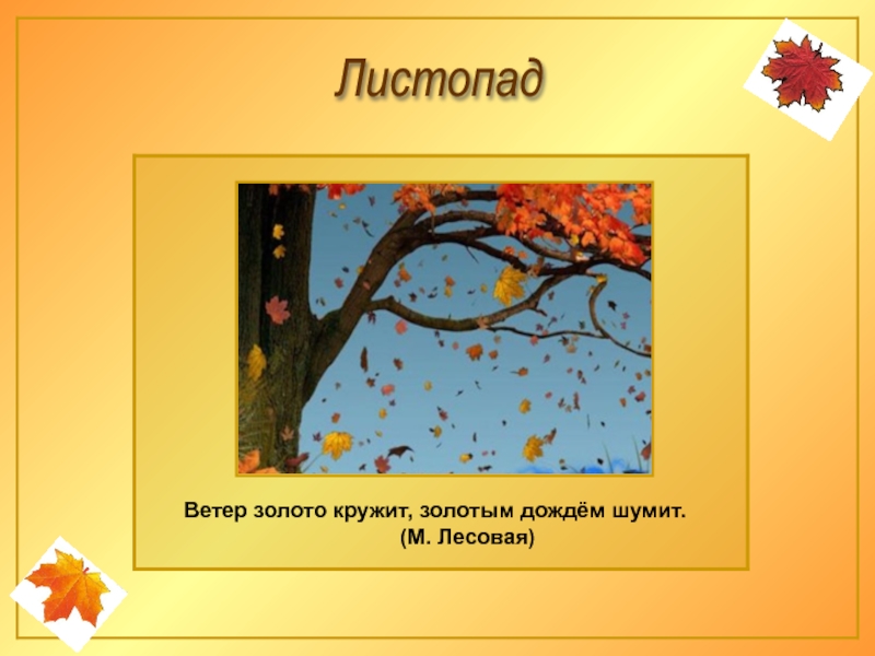 Где листопадом. Презентация листопад. Листопад презентация для детей. Презентация листопад для дошкольников. Предложение про листопад.