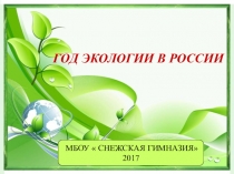 Год экологии в России