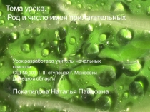 Род прилагательных