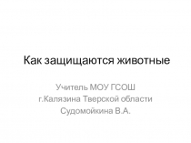 Презентация по окружающему миру на тему  Как защищаются животные