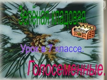 Презентация по биологии на тему Отдел Голосеменные растения