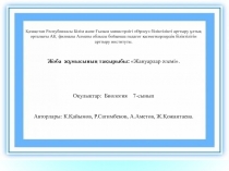 Презентация по биологии на темуАшық тұқымды өсімдіктер