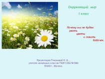 Презентация по окружающему миру на тему Почему мы не будем рвать цветы и ловить бабочек . 1 класс