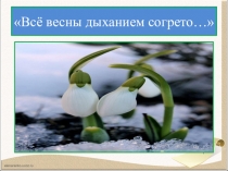 Презентация по литературному чтению на тему  Весна Ф.И.Тютчева