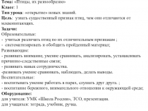 Презентация к уроку окружающего мира Разнообразие птиц